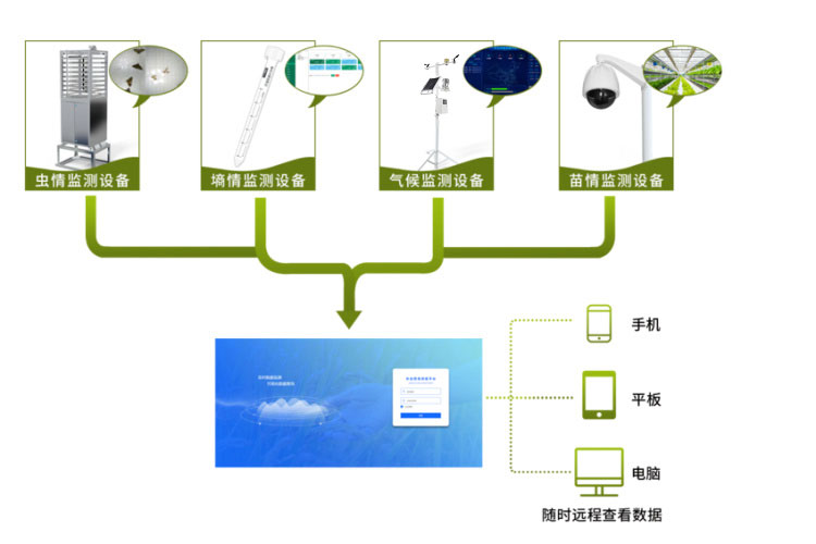 農業(yè)物聯(lián)網(wǎng)四情監測系統