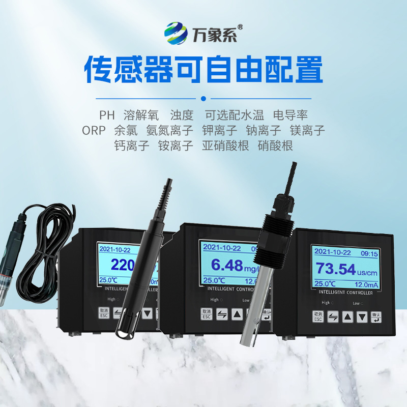 在線(xiàn)溶解氧檢測儀